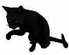 Black Cat W Teal Eyes