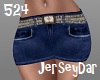 RL Shorts Country Belt