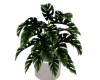 Vase Plant [02]