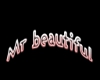 [MR]Mr Beautiful filler