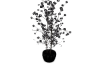 Dar fae shimmer tree