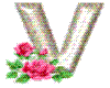 V WITH ROSES AND GLITTER
