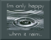 Only Happy Rain Sticker