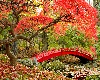 Autumn Red Bridge Window
