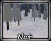 NT Winter Open Space