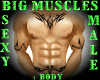 [RC] BIG MUSCLES + BODY