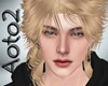 !N> HEAD V.4
