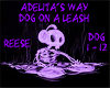 Dog On A Leash
