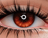 c. Eyes  3
