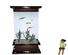 brown fish tank