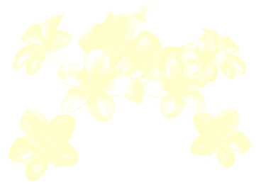 Fantasy Shine Flowers