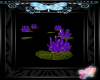 ♫ purple water lily