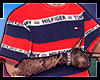 CAMISA TMMY