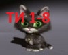 daybe - titi