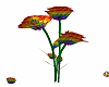 Anim: LGBT Roses