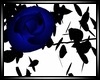 {DSD} Blue Rose Vine