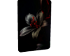 𝑳 Flower 1.6K