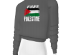 ♔ Palestine Sweater