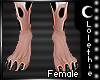 *K*Cinnamon Feet  *F*