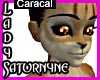 Caracal Lynx Skin Female