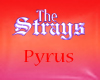 The Strays Pyrus