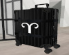 Aries Luggage v2