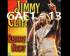 reggae night