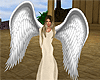 Angel Wings M-F