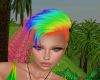 Iris pride hair rainbow