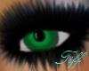 (TD)Green Eyes!!