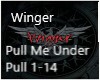 Winger-PullMeUnder