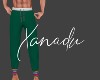 X PJ Pant CrzStripeGreen