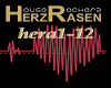 house rockerz herzrasen