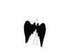 low wings | black