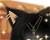 QUEEN Cat Ears v2