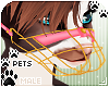 [Pets] Muzzle | Punch