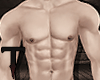 T. Torso Muscle