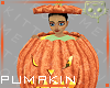 Pumpkin 6a Ⓚ