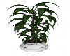 Gig-Pot Plant Large