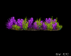 Flower Garden
