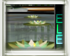 lEl Zen Water Lilys
