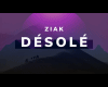 Ziak " Desolé " PT1