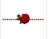 RedRose&Diamonds divider