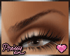 P|LV2 Brows eCola
