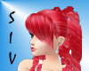 Watermelon Bangs