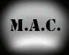 (MAC) Gold Ani Earrings