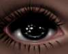 T. Koinu Eyes m/f