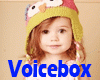 Cute BabyGirl Voice Box
