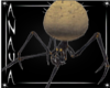 Cave Spider -Room-