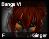 Ginger Bangs V1
